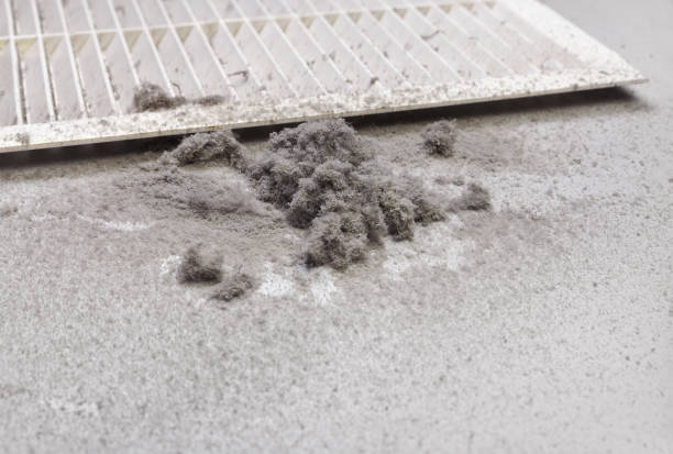 Best Air Duct Cleaning Near Me in Minden, LA